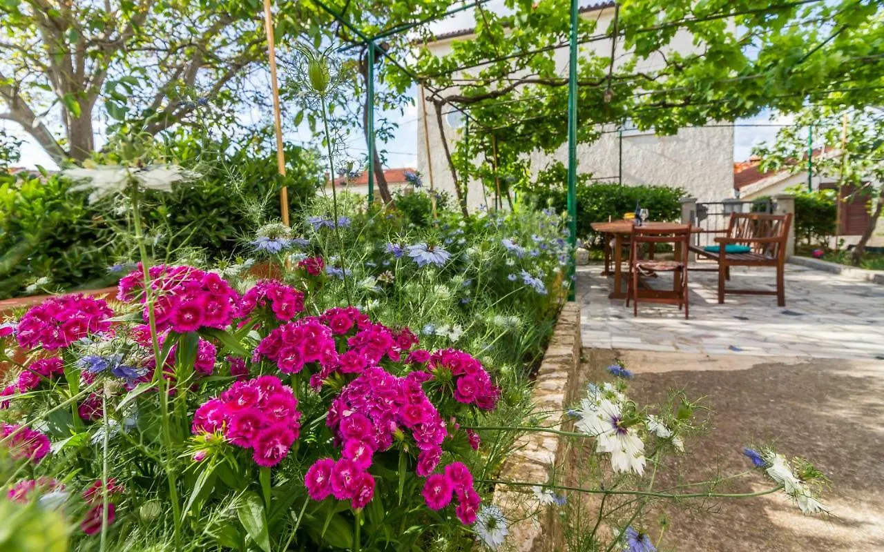 Three-Bedroom Apartment Meden Pomer